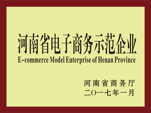 河南省电子商务示范企业