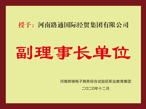 河南跨境电子商务副理事长单位